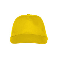 Texas Cap
